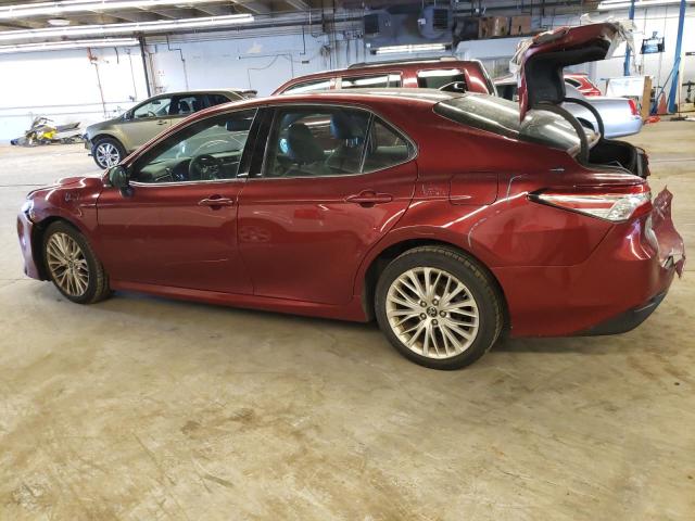2019 TOYOTA CAMRY L/LE 4T1B11HKXKU728224