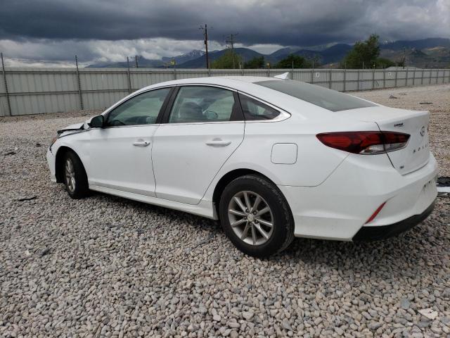 5NPE24AF1JH620452 Hyundai SONATA SE