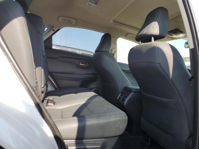 2020 LEXUS NX 300 JTJGARBZXL5009580