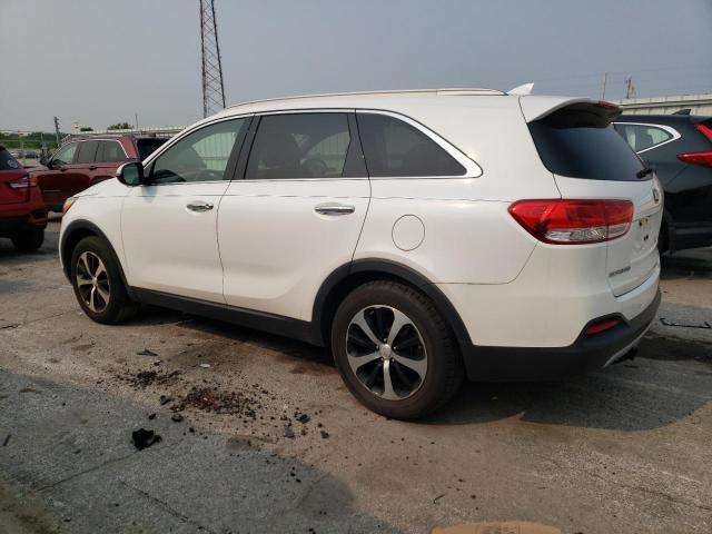 5XYPH4A58GG005914 KIA SORENTO EX