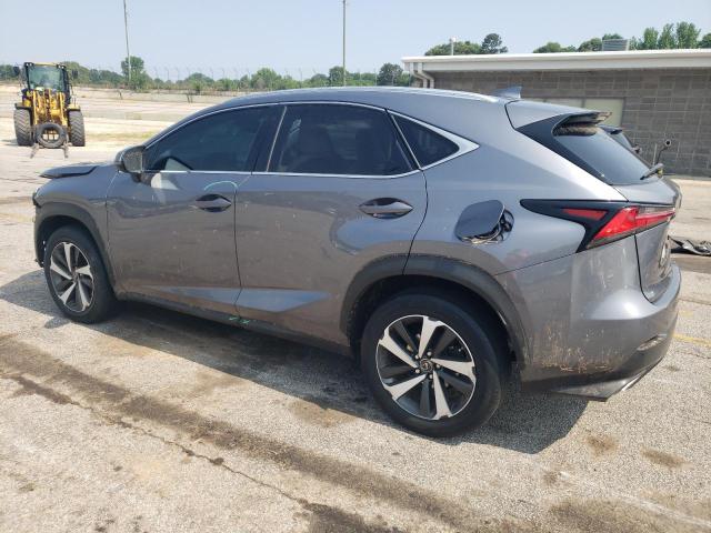 2020 LEXUS NX 300 JTJGARBZ9L2166941