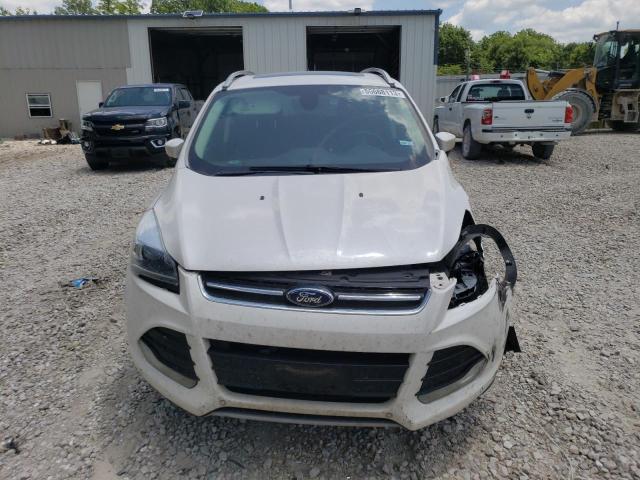 1FMCU0J93DUD17473 2013 FORD ESCAPE, photo no. 5