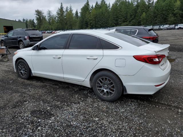 5NPE24AF5FH148487 Hyundai SONATA SE
