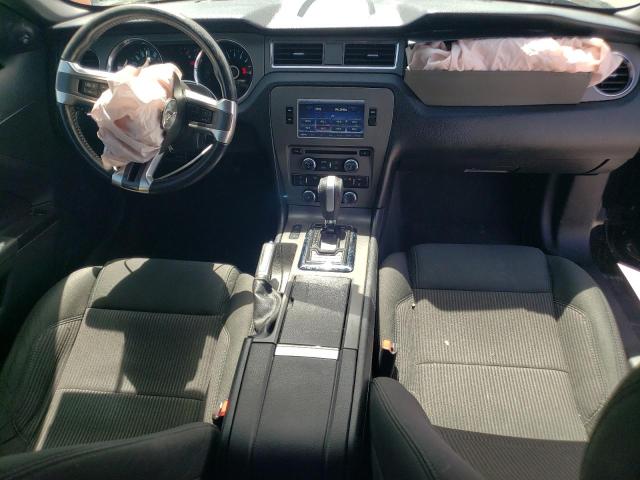 1ZVBP8AM2E5313496 Ford MUSTANG