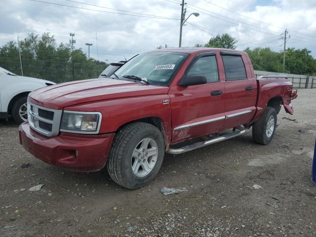 2010 Dodge Dakota 