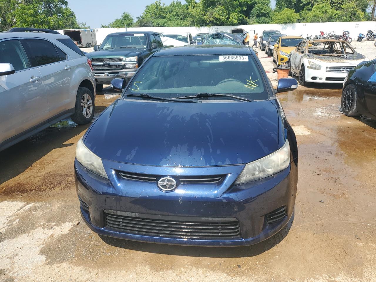2013 Toyota Scion Tc vin: JTKJF5C78D3054555