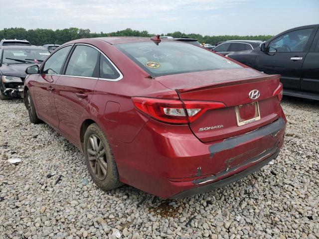 5NPE24AF5GH394876 Hyundai SONATA SE