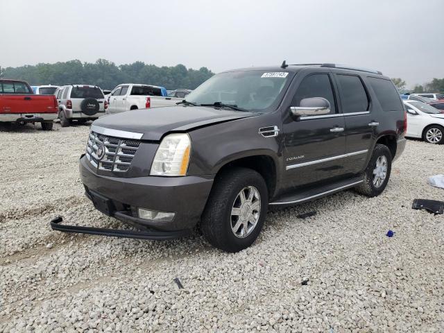 2010 Cadillac Escalade Luxury