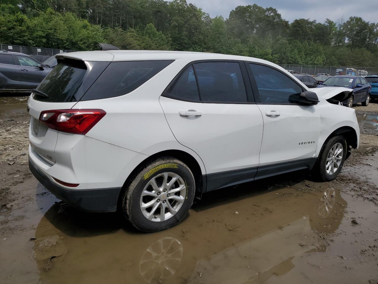 2019 Chevrolet Equinox Ls vin: 2GNAXSEV8K6108884