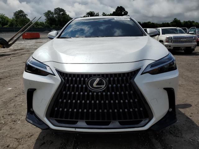 2023 LEXUS NX 350 2T2GGCEZ9PC027938