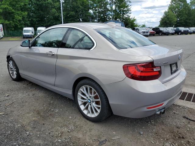 2015 BMW 228 XI WBA1F7C53FV367406