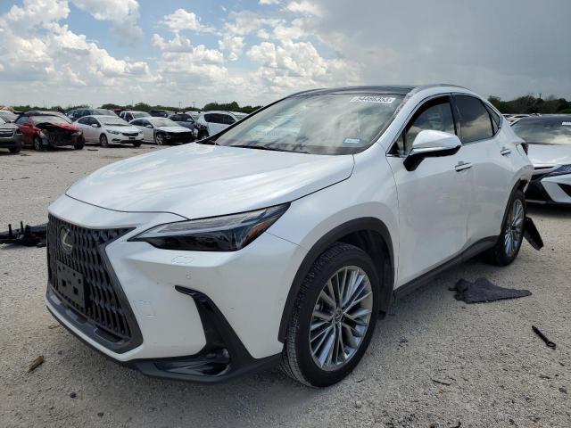 2022 Lexus NX 