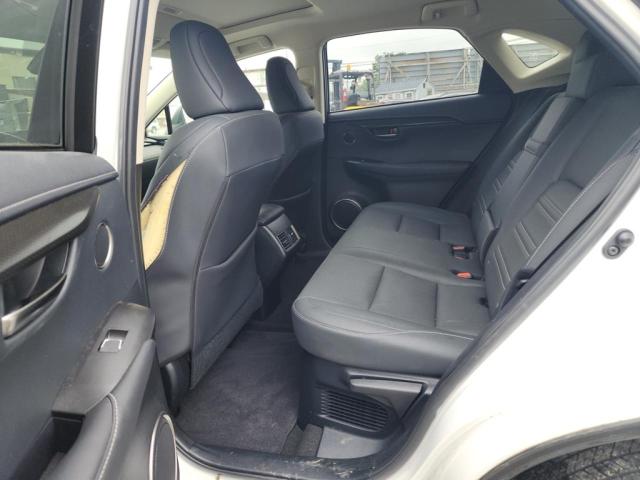2020 LEXUS NX 300 JTJDARDZ9L5015662