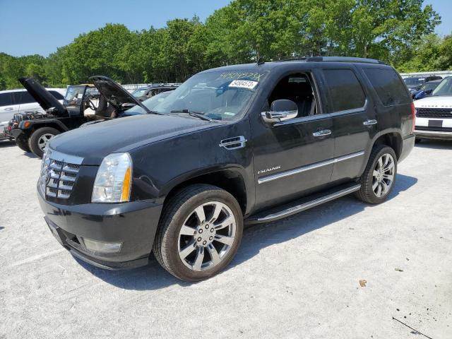 2011 Cadillac Escalade Luxury