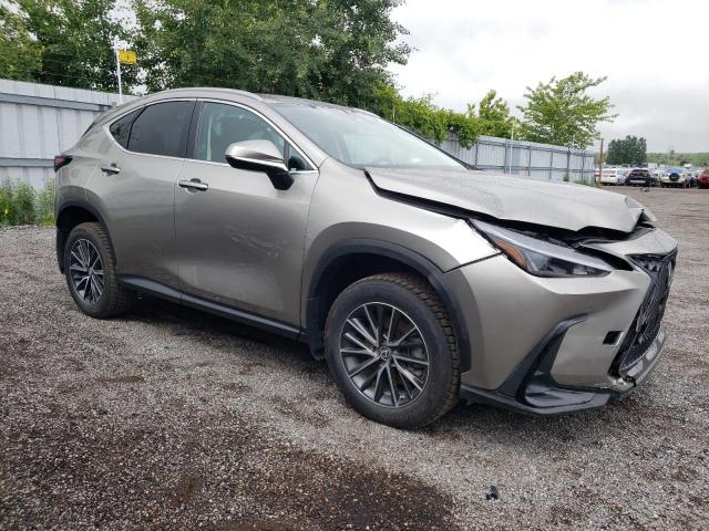 2023 LEXUS NX 250 2T2ADCEZ4PC002847