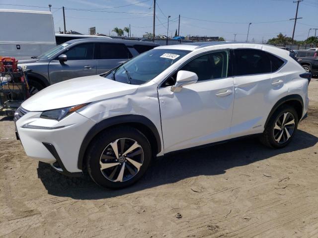 2021 LEXUS NX 300H BA - JTJGJRDZ3M2149177