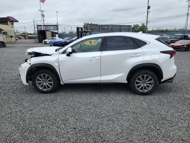 2020 LEXUS NX 300 JTJDARDZ9L5015662