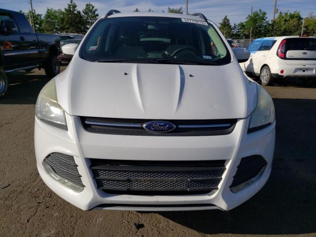 1FMCU9G99EUD03333 2014 FORD ESCAPE, photo no. 5