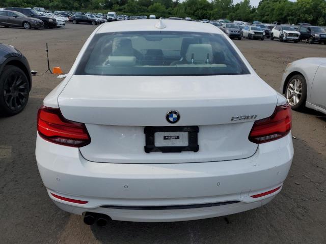 2021 BMW 230I - WBA2J1C05M7H51325