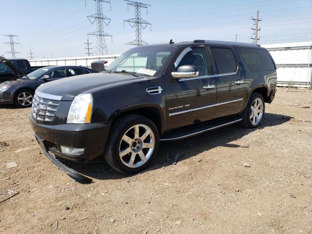 2010 Cadillac Escalade ESV Luxury