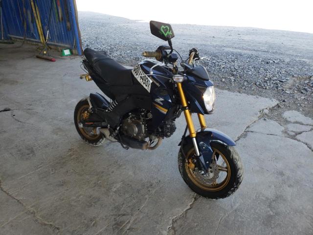 2023 KAWASAKI BR125 J - JKABRRJ17PDA25651