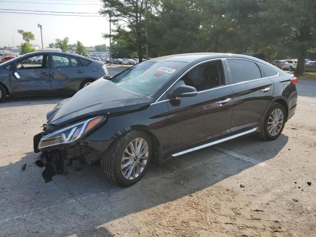 2015 Hyundai Sonata Sport VIN: 5NPE34AF3FH181355 Lot: 54806143