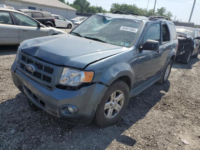 2010 Ford Escape Hybrid