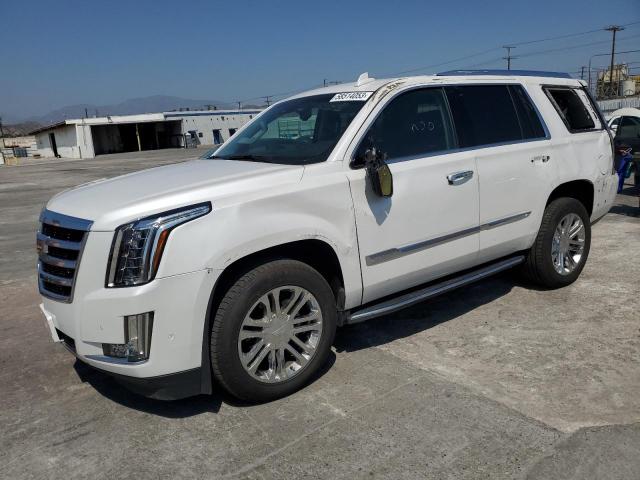 2019 Cadillac Escalade 