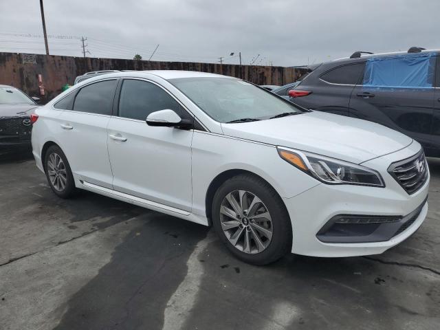 5NPE34AF5GH289381 Hyundai Sonata Sport