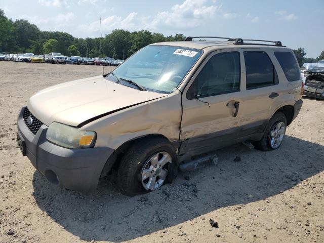 2007 Ford Escape XLT