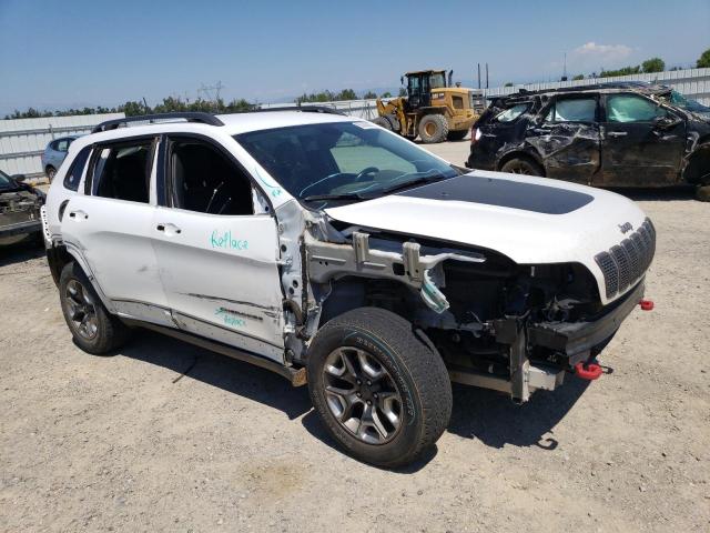 1C4PJMBX8KD462623 Jeep Cherokee Trailhawk