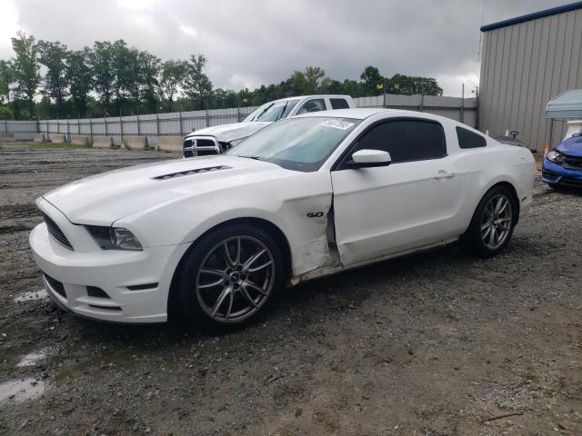 1ZVBP8CFXE5219056 2014 FORD MUSTANG - Image 1