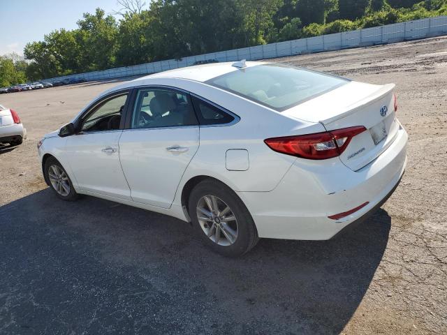 5NPE24AA8FH193475 | 2015 HYUNDAI SONATA ECO