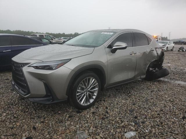 2023 Lexus NX 