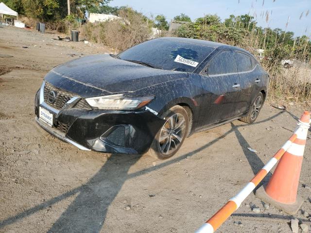 2021 Nissan Maxima SV