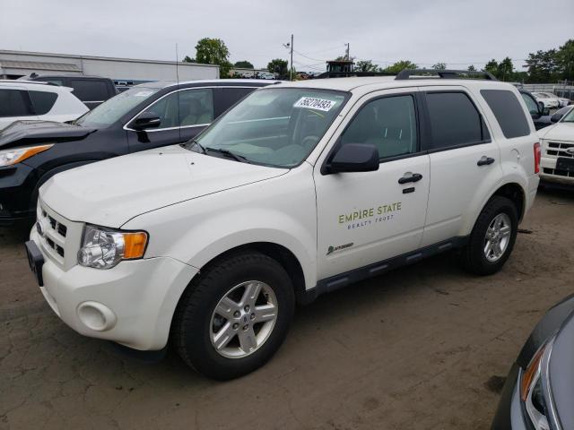 2011 Ford Escape Hybrid For Sale Ct Hartford Fri Jan 12 2024 Used And Repairable Salvage 6753