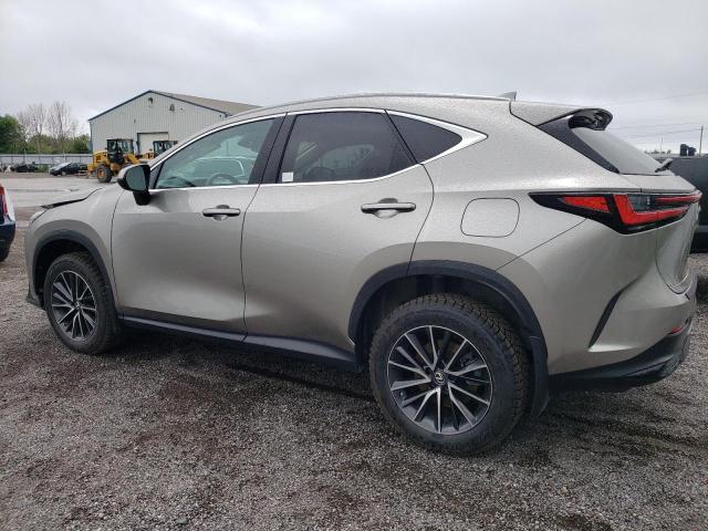 2023 LEXUS NX 250 2T2ADCEZ4PC002847