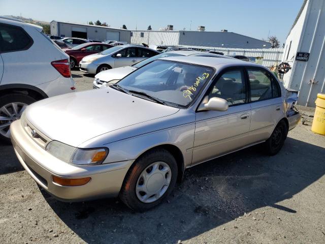 1996 Toyota Corolla DX