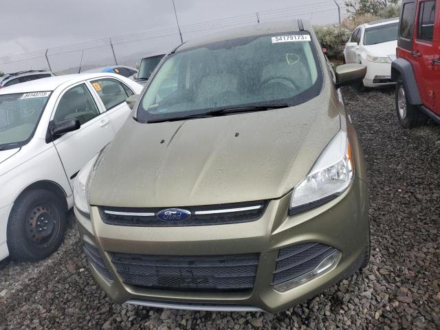 1FMCU0GX6EUB31224 Ford ESCAPE SE