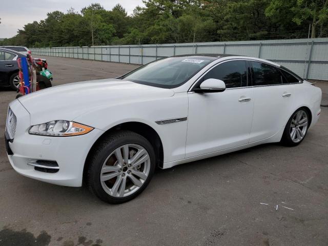 Jaguar XJ White