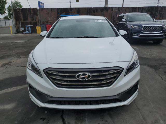 5NPE34AF5GH289381 Hyundai Sonata Sport