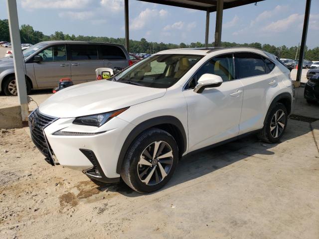 2021 Lexus NX 