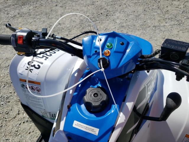 2015 POLARIS PHOENIX 20 - RF3YAP200FT007087