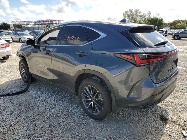 2022 LEXUS NX 250 2T2ADCAZ2NC001148