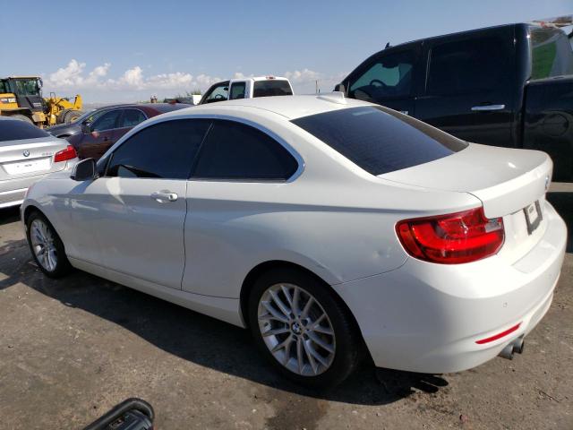2015 BMW 228 I - WBA1F5C56FV343573