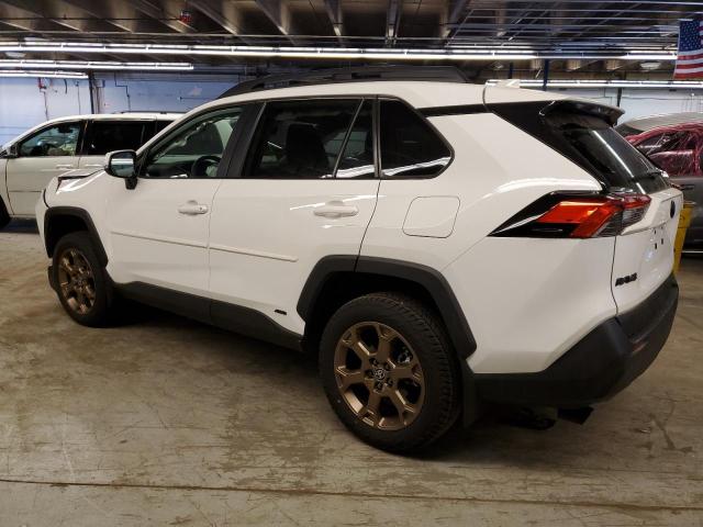 2023 TOYOTA RAV4 WOODL - 2T3UWRFVXPW156415