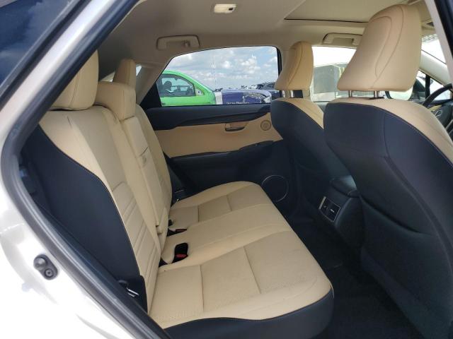 2020 LEXUS NX 300 JTJGARBZ8L5012347