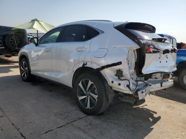 2020 LEXUS NX 300 JTJGARBZXL5009580