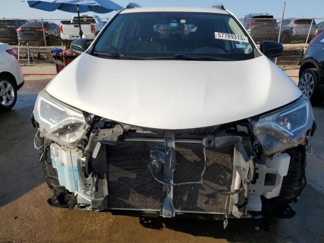 JTMZFREV0JJ746717 Toyota RAV4 LE