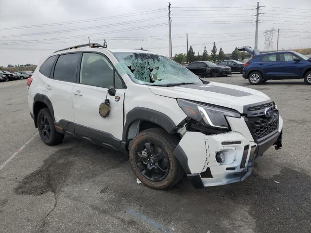 JF2SKAMC6PH458796 Subaru Forester Wilderness